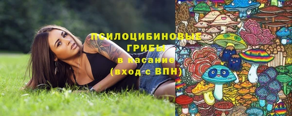 ешки Аркадак