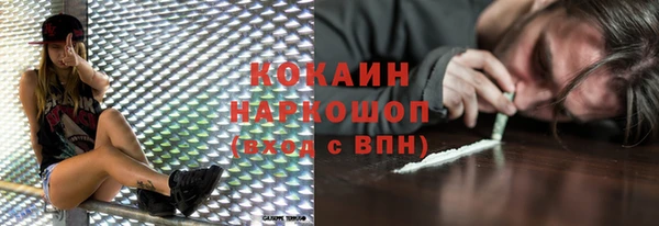 ешки Аркадак