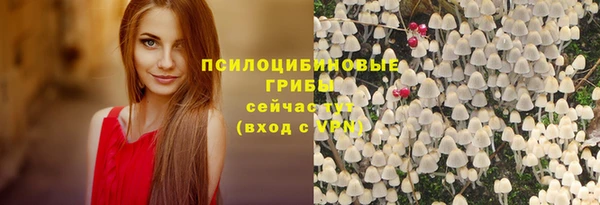 spice Армянск